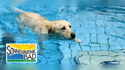 Hundeschwimmen zum Abschluss der Badesaison. (Foto: privat)