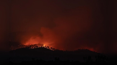 Hilfe beim Waldbrand in der Türkei. (Foto: unplash.com)
