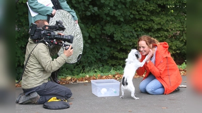 Kate Kitchenham dreht während der Aktion „Dogs for Schaumburg“ mit ihrem Team. (Foto: Borchers, Bastian)