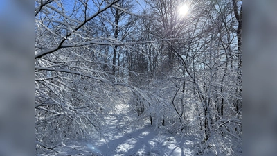 Ein herrliches Winterfoto aus dem Deister. (Foto: privat)