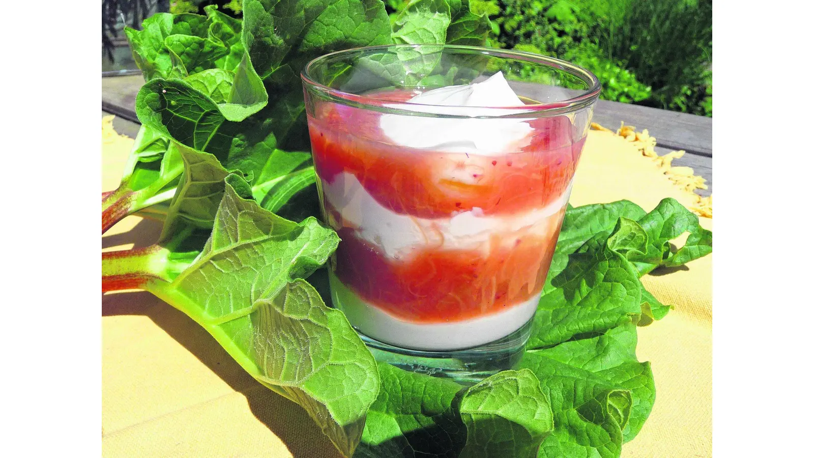 Rhabarberkompott mit Quarkcreme (Foto: red)