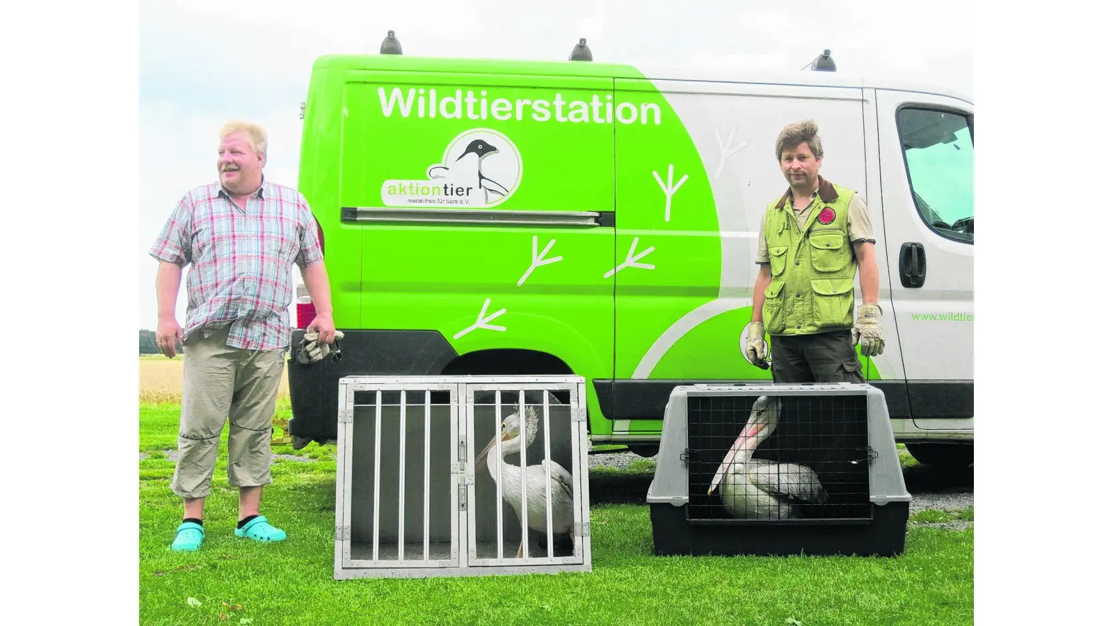 Tierischer Einsatz am Weserufer (Foto: mk)