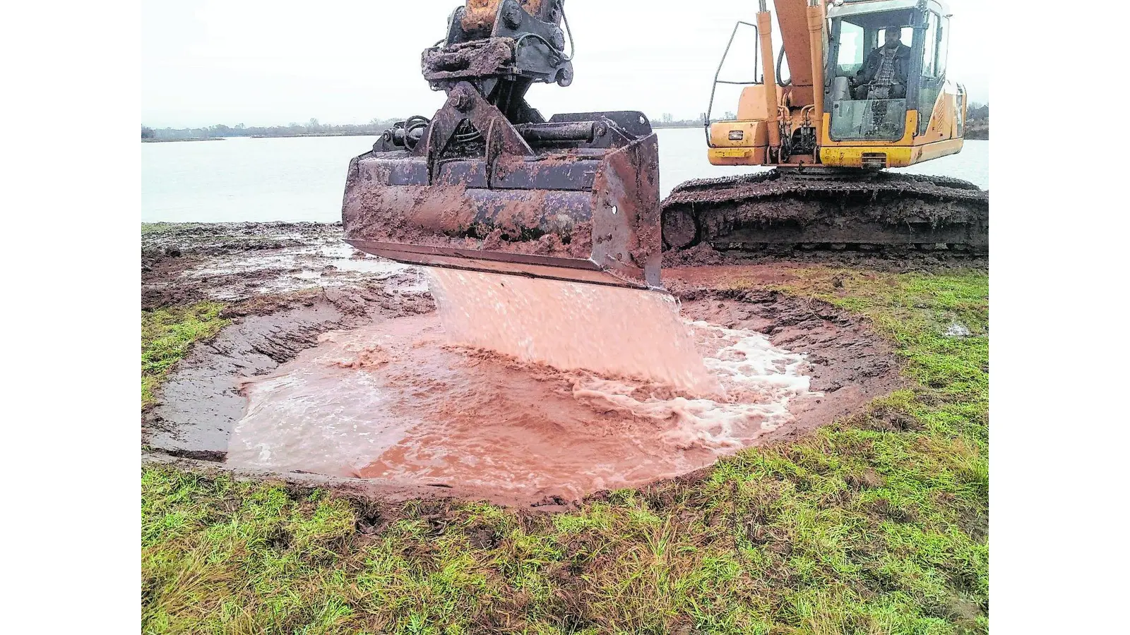 Weihnachtsgeschenke für die vielen Amphibien (Foto: red)