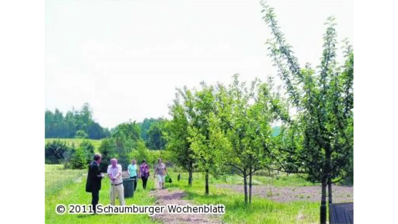 Eigene Früchte frisch ernten (Foto: km)