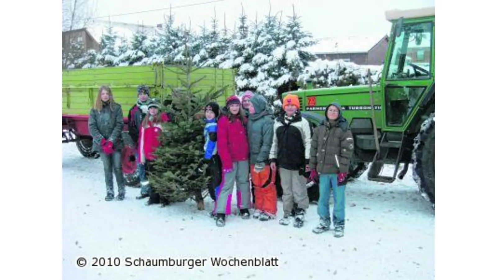 Wehr sammelt Bäume ein (Foto: red)
