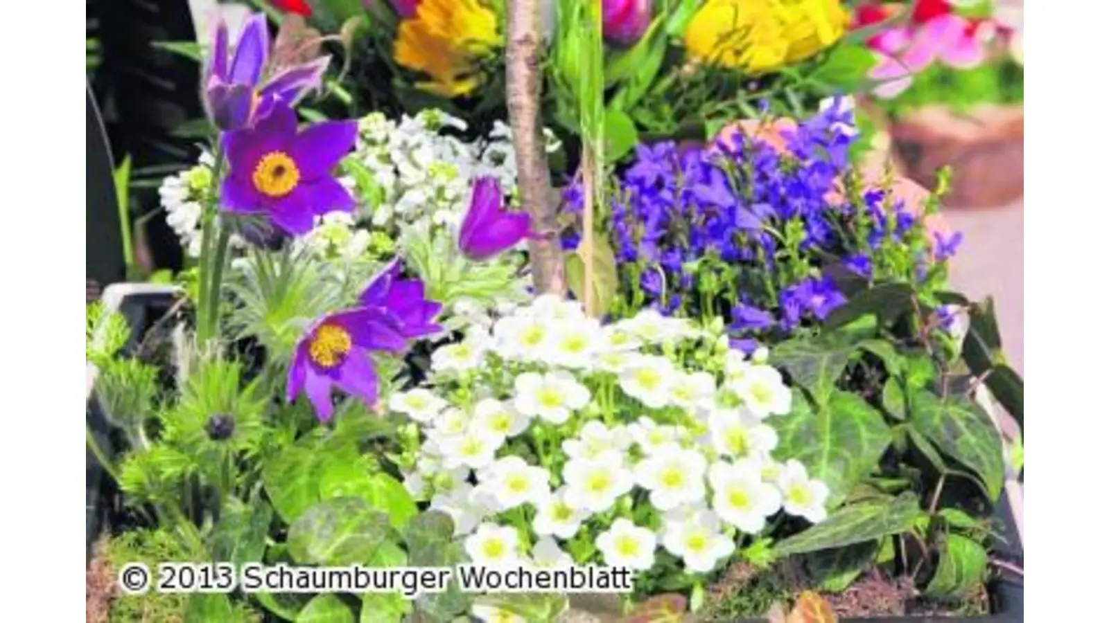 Wenn das Wohnzimmer in den Garten wandert (Foto: jl)