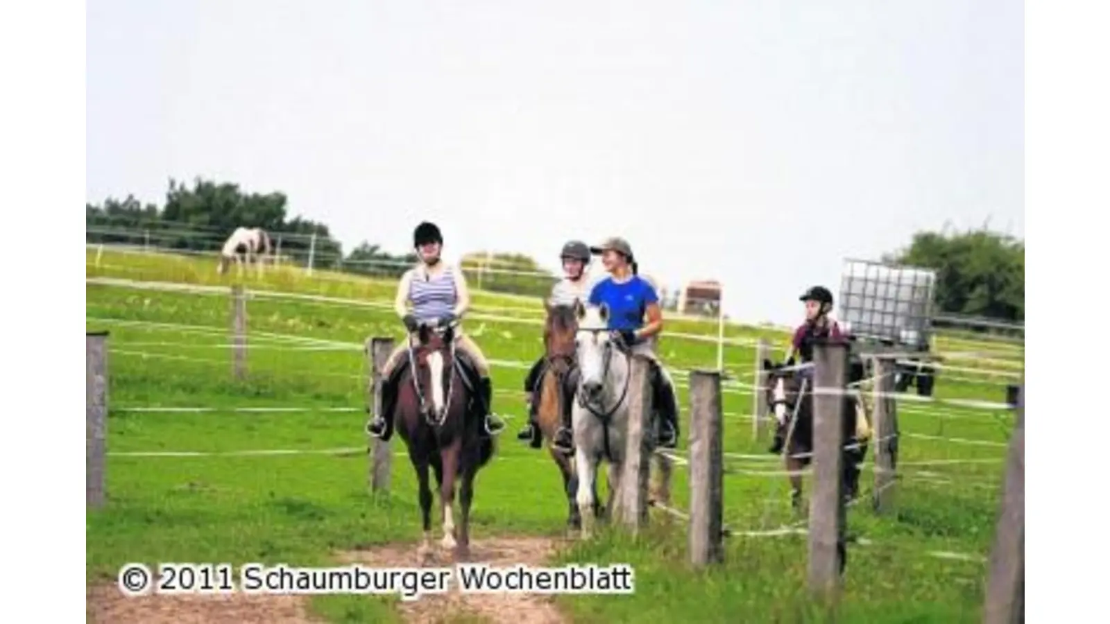 Reitverein Hohenrode geht auf große Rallye (Foto: em)