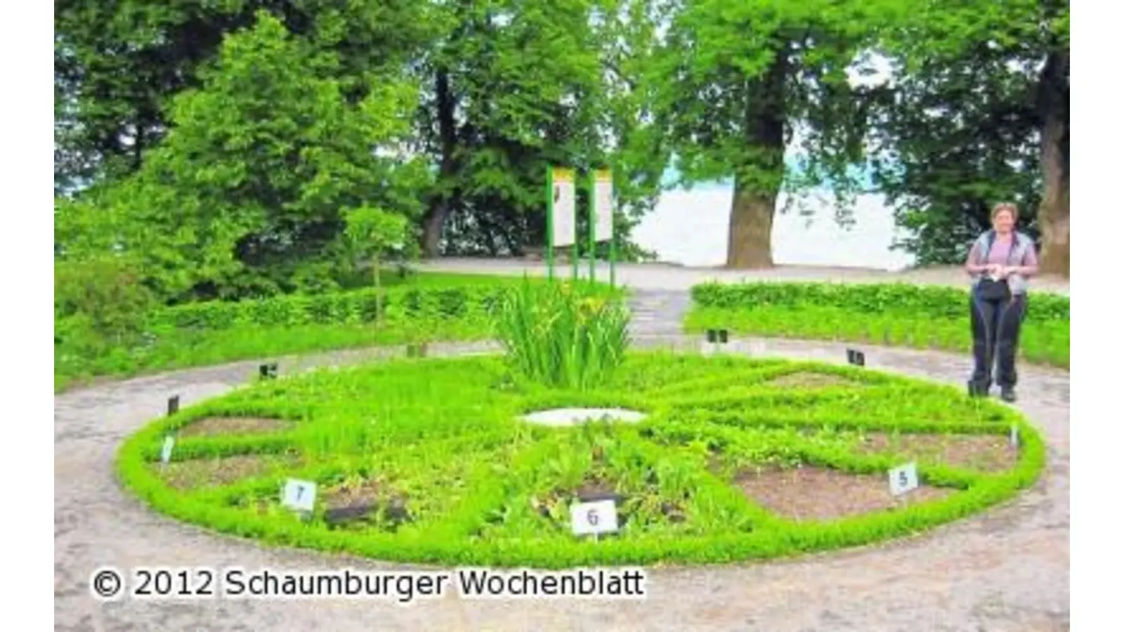 Jetzt beginnt im Park an der Orangerie die Blütezeit (Foto: km)