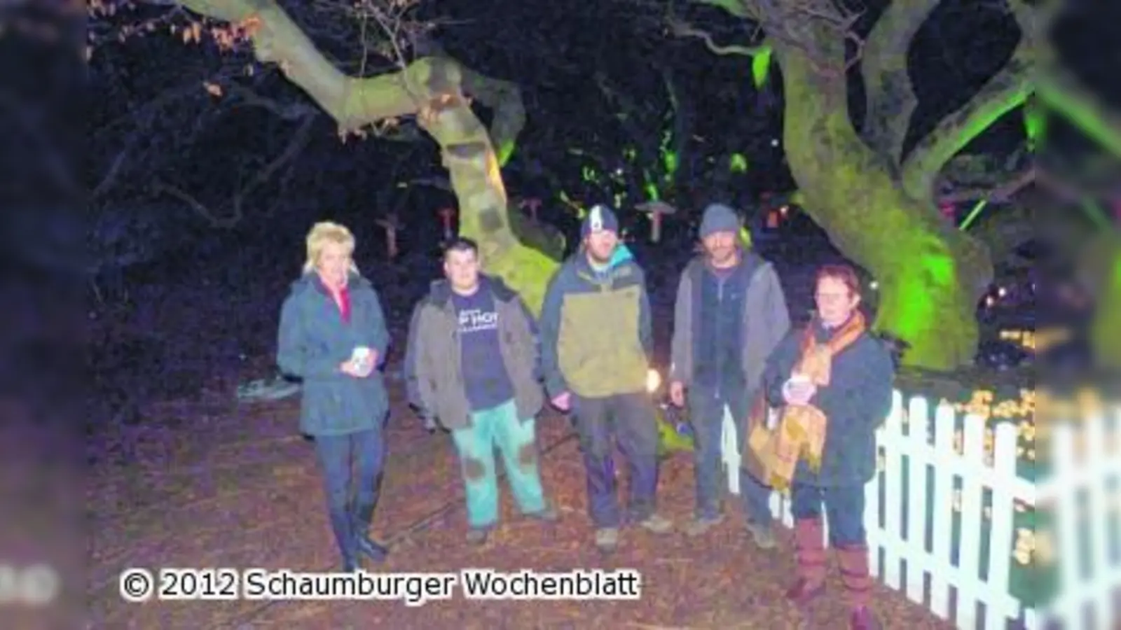 Künstler zaubern mit viel Licht im Kurpark Träume und Magie im Buchenwald (Foto: red)