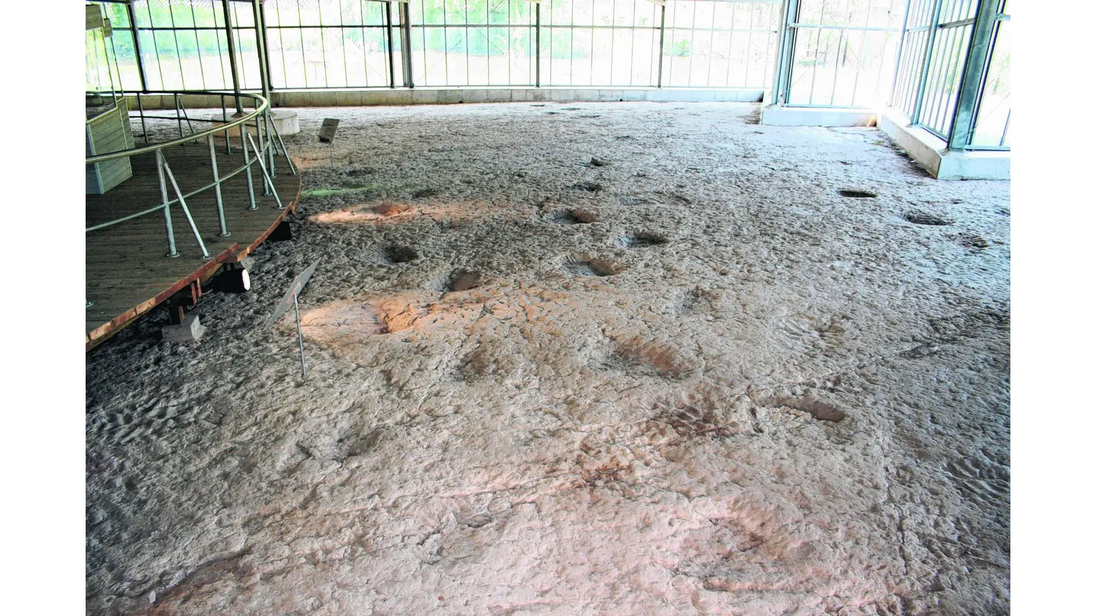 Auf der Spur der Dinosaurierfährten (Foto: em)