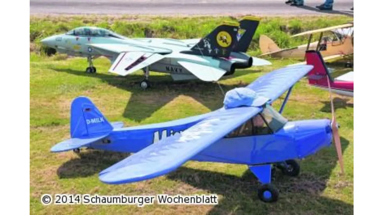 Flugkünste sorgen für pure Begeisterung (Foto: pd)