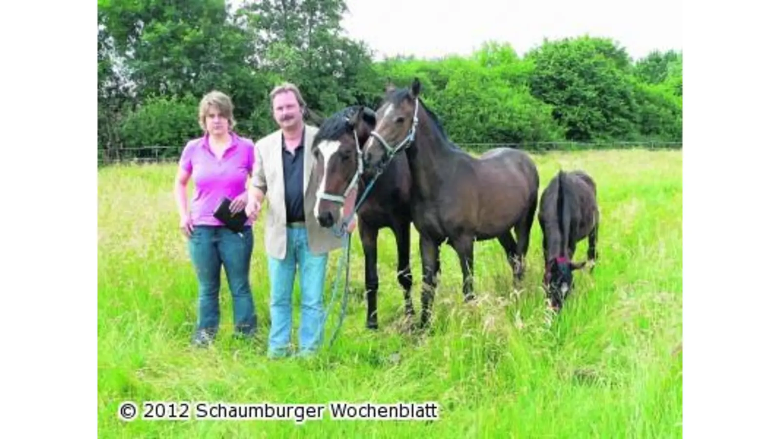 Pferderettung in letzter Minute (Foto: al)