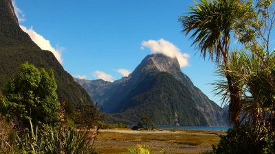 Tief im Fjordland National Park im Südwesten der Südinsel, liegt eine der beeindruckendsten Natur-Sehenswürdigkeiten Neuseelands: Der Milford Sound.  (Foto: privat)
