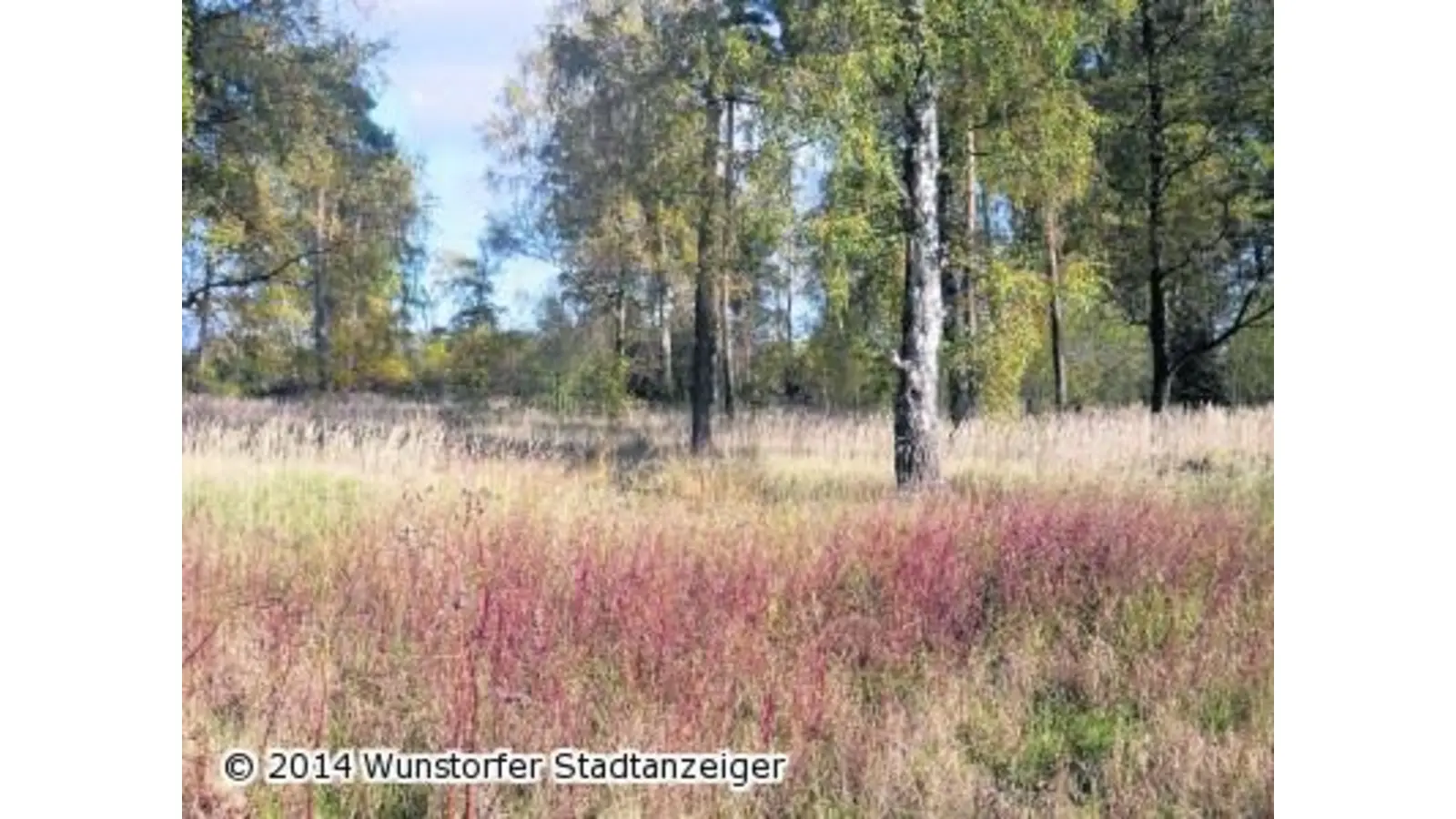 550 Flächen sind neu geschützt (Foto: jan)