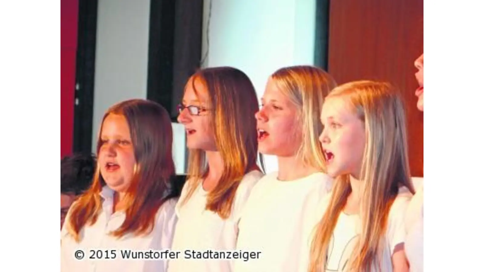 Sommerkonzert am Gymnasium (Foto: mk)