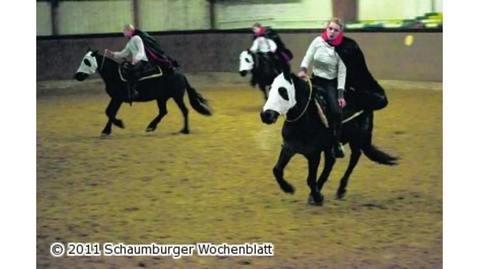 Vampire reiten flott durch die Halle (Foto: wa)