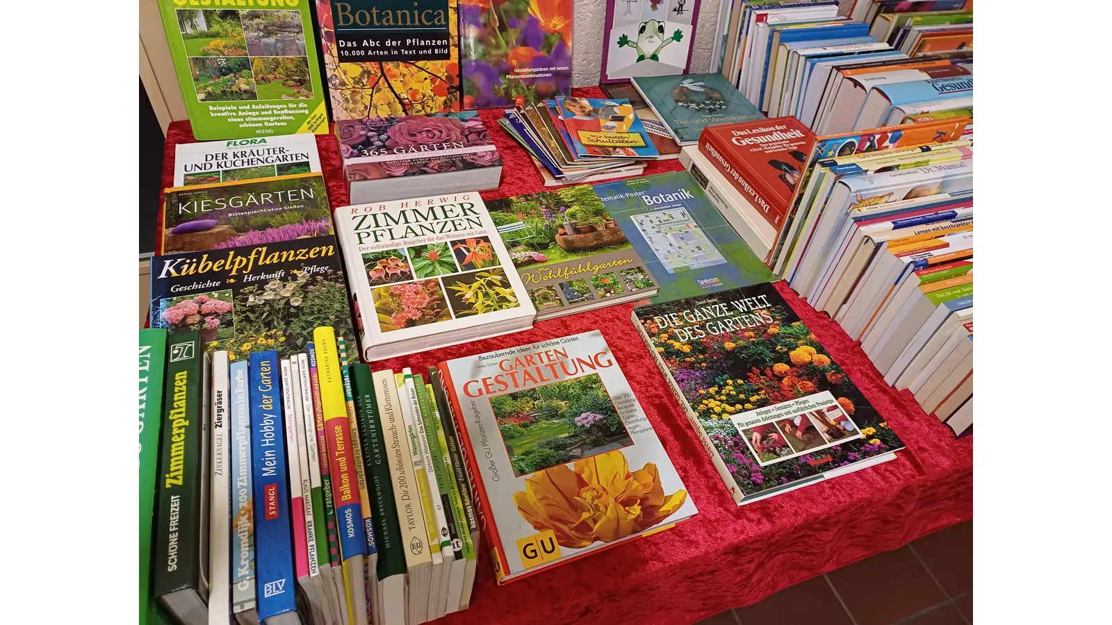 Eine sortierte Buchauswahl. (Foto: privat)