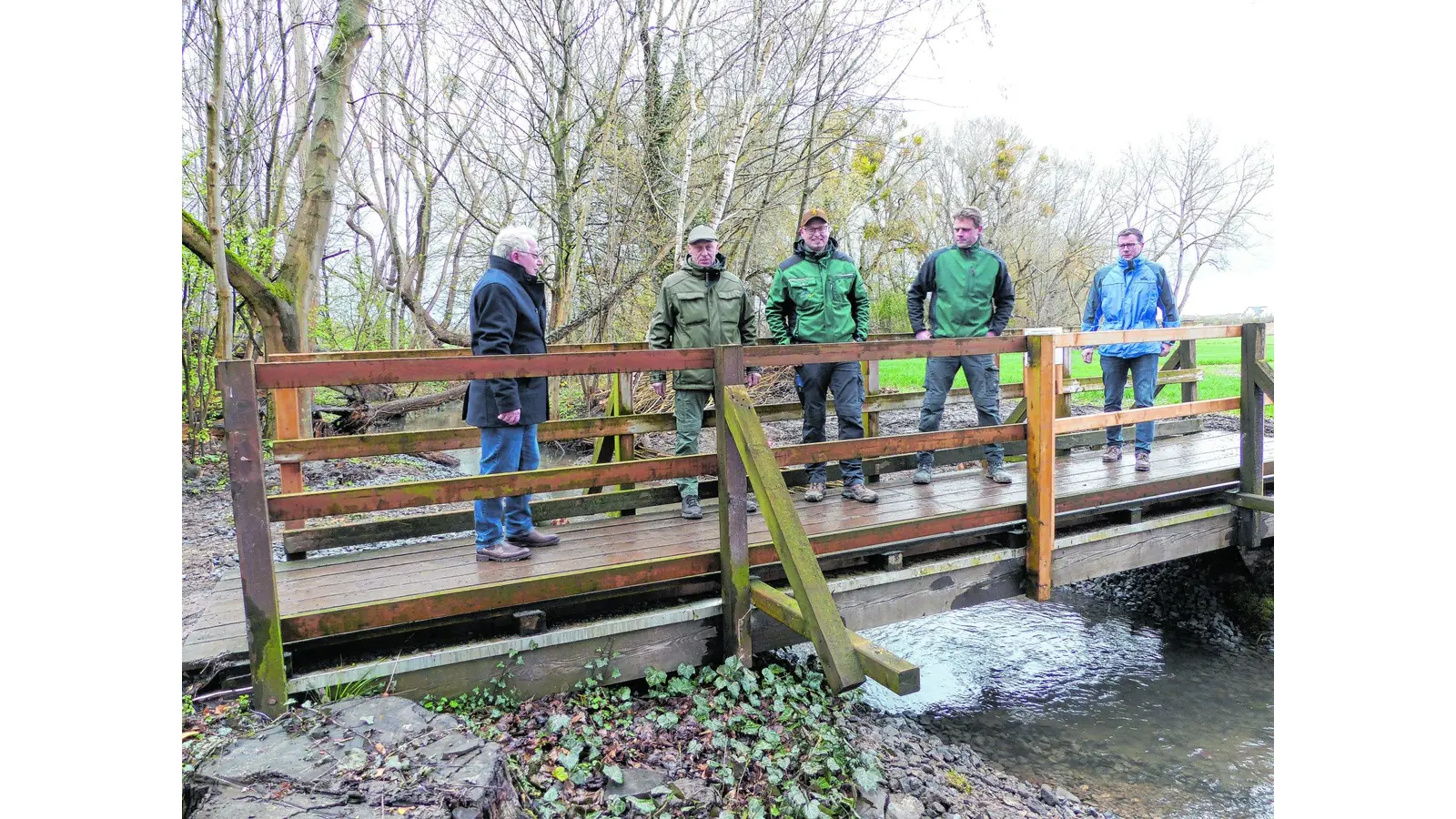 Wieder freier Blick (Foto: al)