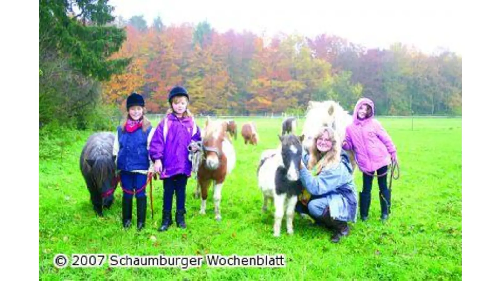 Auf dem Ponyrücken in die Bückeberge (Foto: bb)