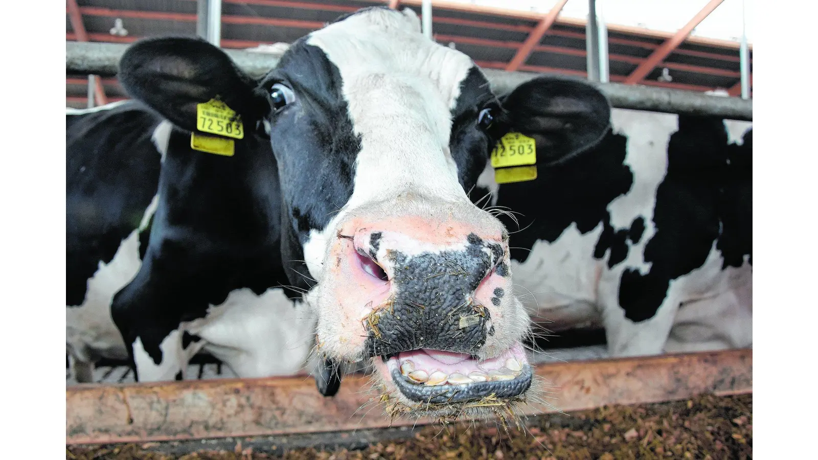 Die Fronten verhärten sich zunehmend (Foto: ste)
