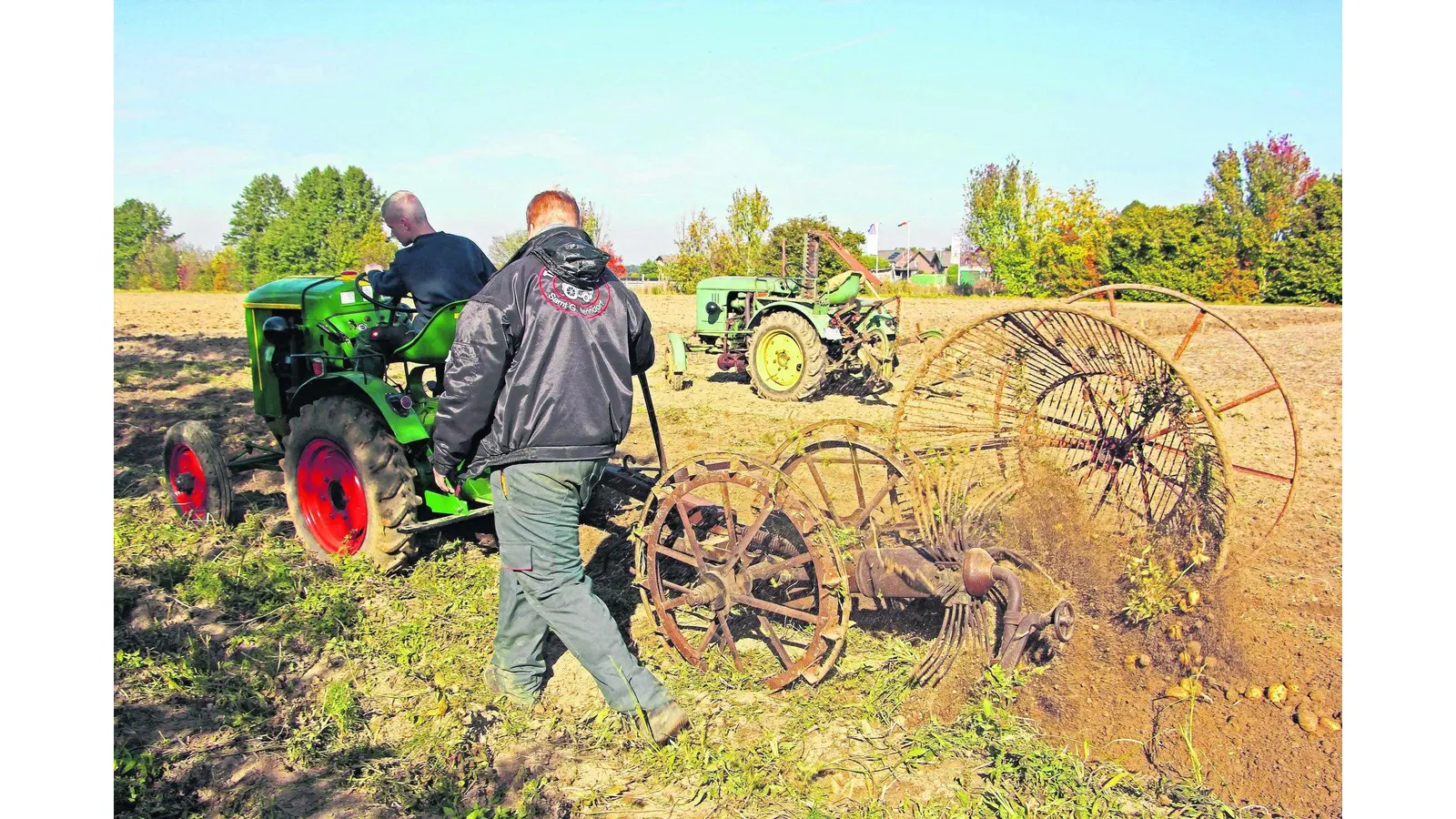 Vom Feld direkt in den Kochtopf (Foto: jl)