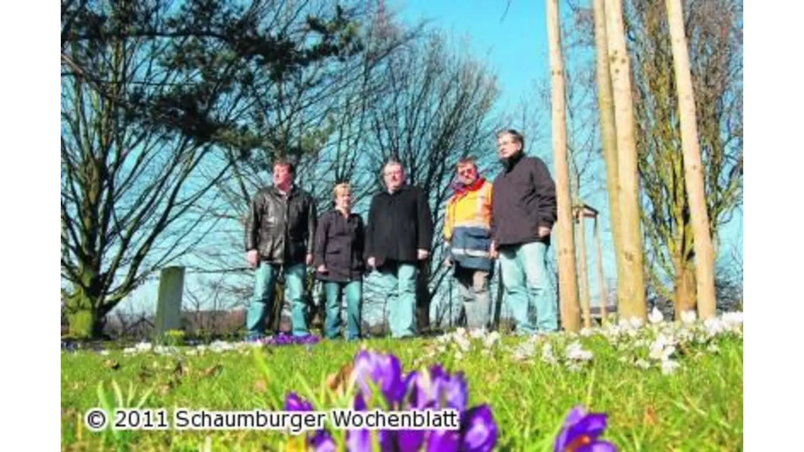 Am Fuße alter Buchen begraben (Foto: ste)