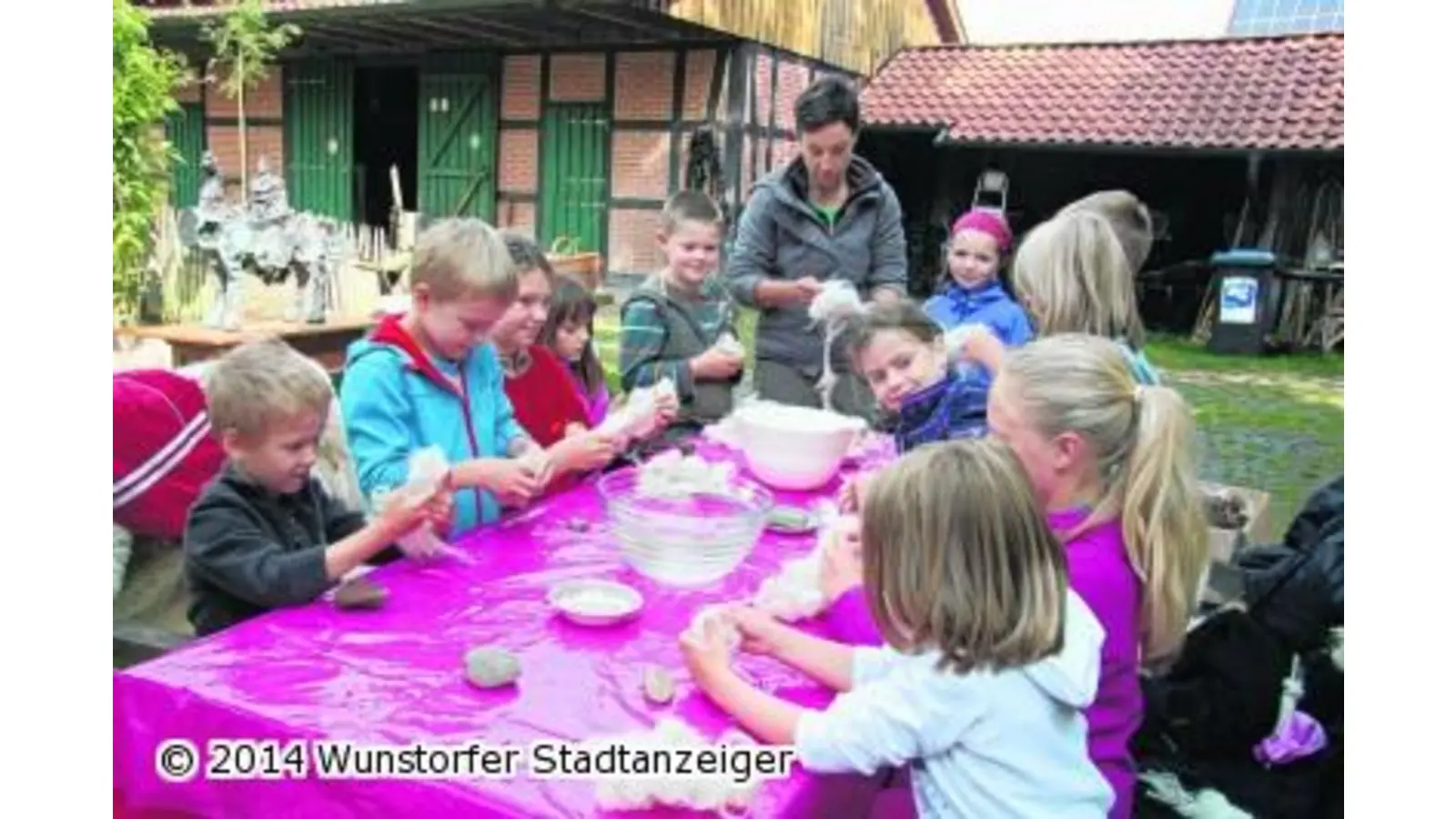 Der Weg vom Schaf zur Wolle (Foto: gi)