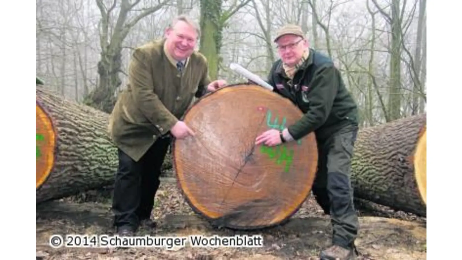 Die gute alte Eiche liegt voll im Trend (Foto: wa)