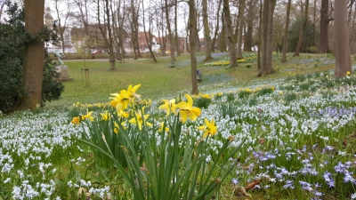 Lust auf Frühling (Foto: ste)