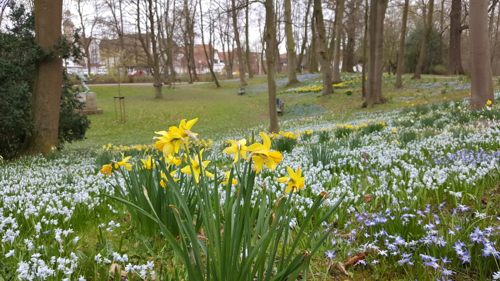 Lust auf Frühling (Foto: ste)