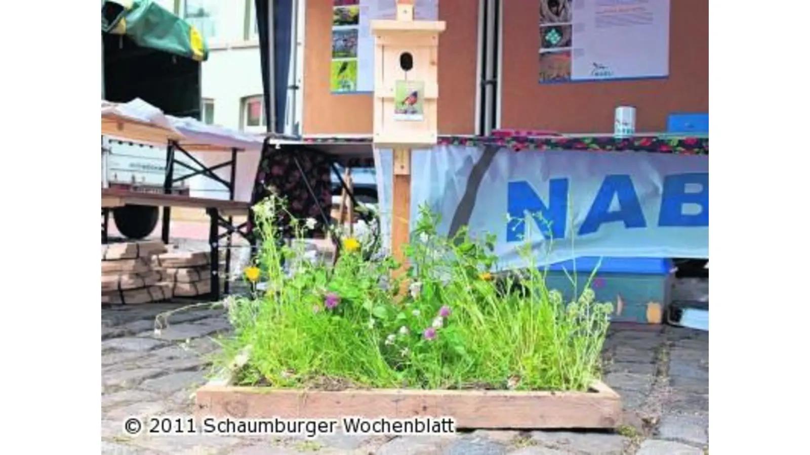 Ein Quadratmeter Natur für den Gartenrotschwanz (Foto: ste)