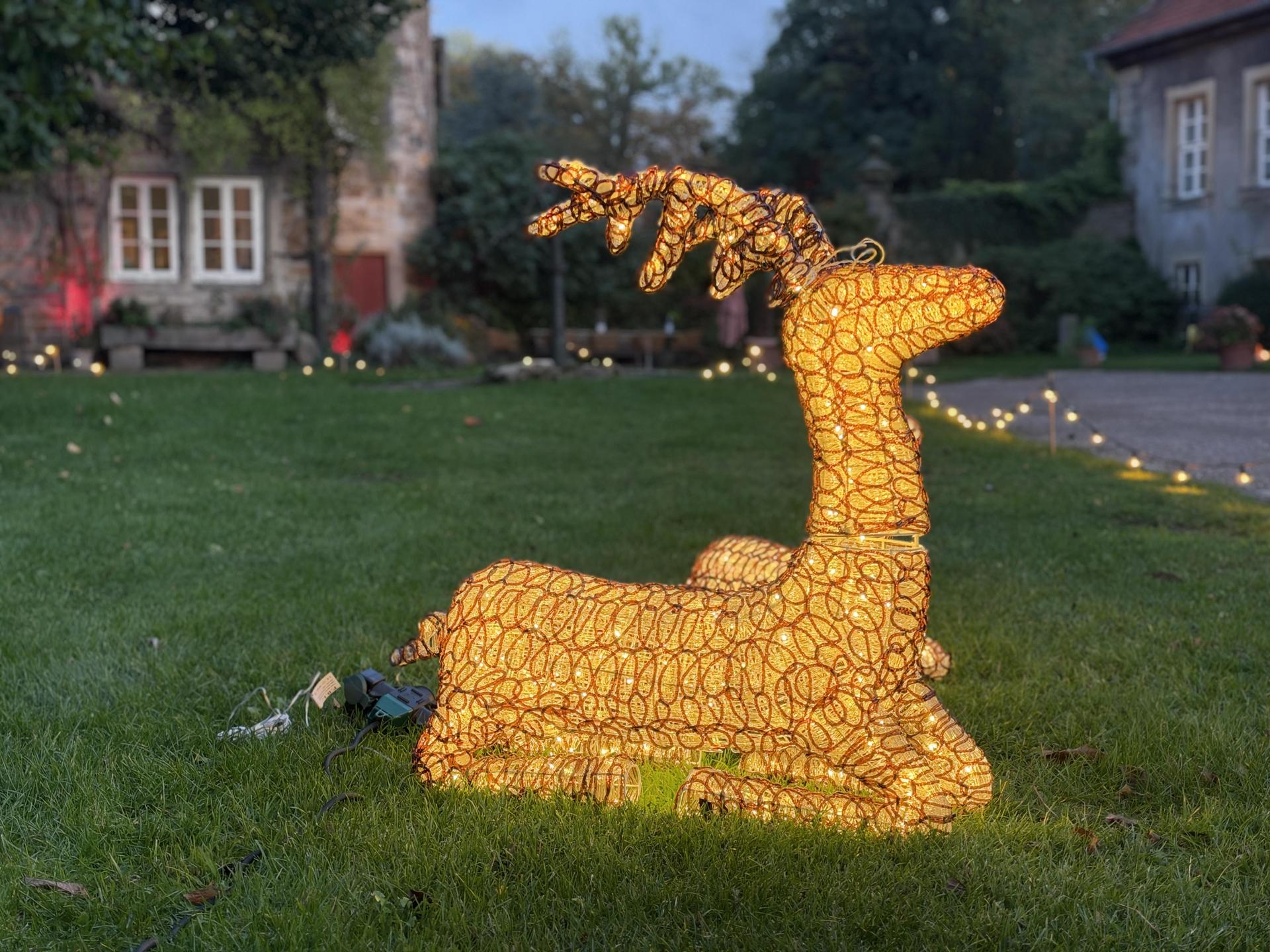 MärchenLichter (Foto: nd)
