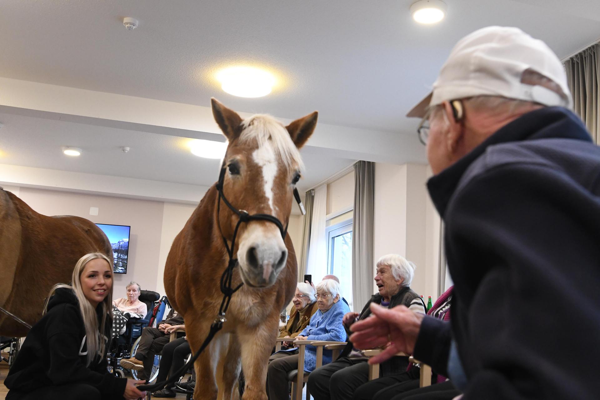 Pony Wega und Nele Plaßmeier (Foto: nd)
