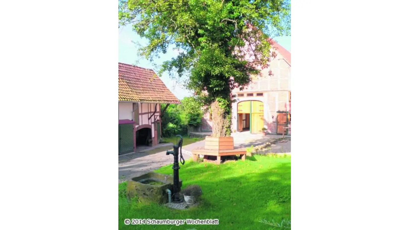 Neugierige Blicke hinter alte Mauern (Foto: red)