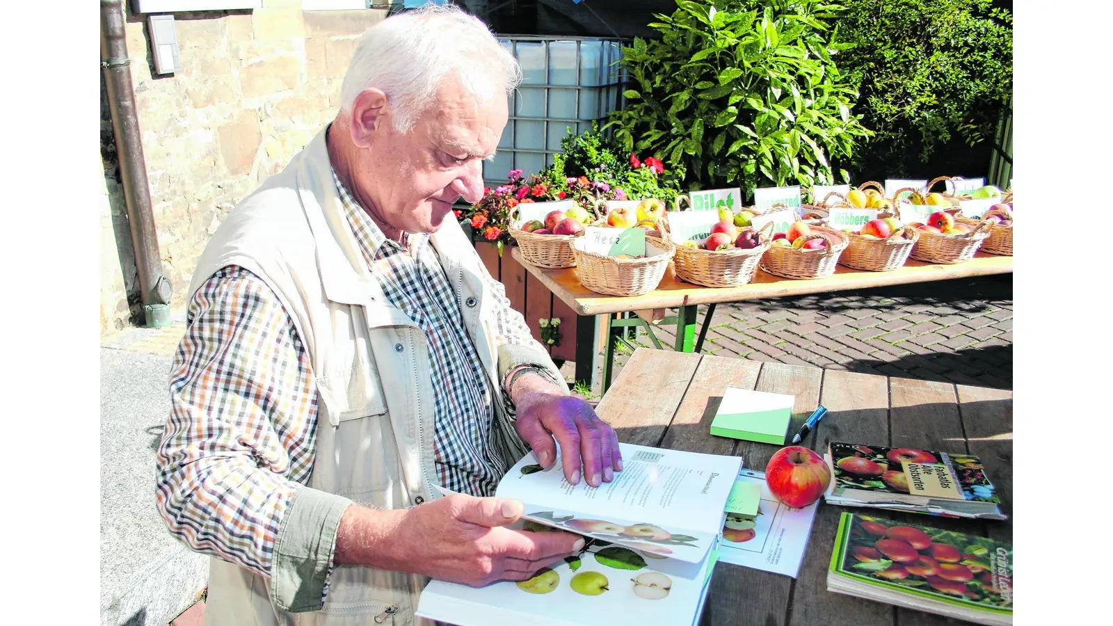 Markt macht richtig Lust auf Äpfel (Foto: bb)