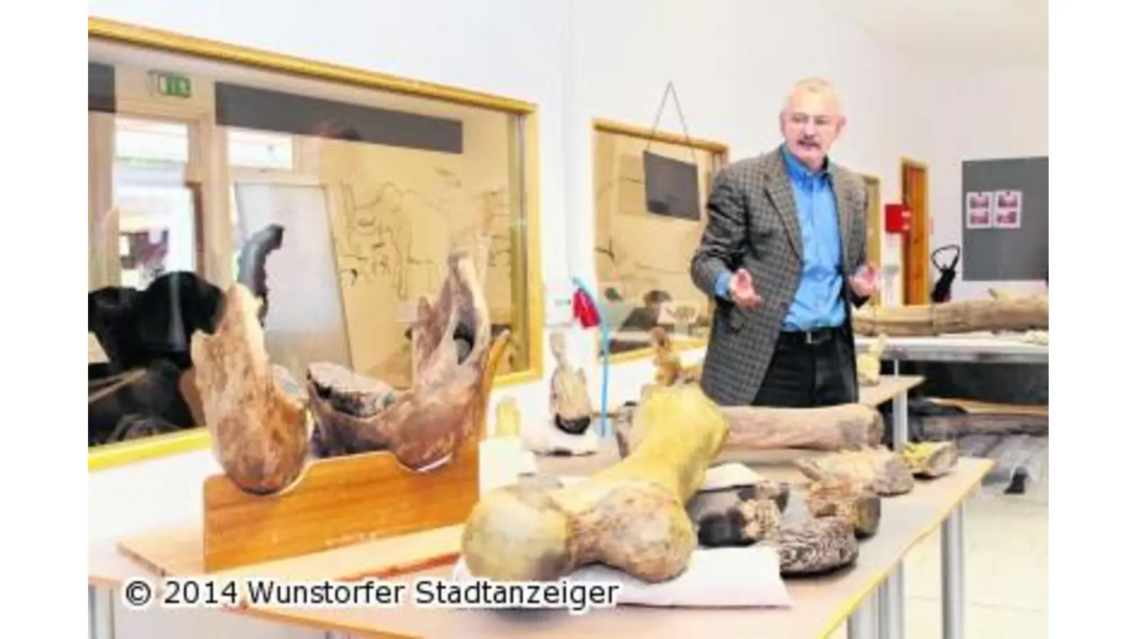 Eine Mammut-Aufgabe im Dino-Park (Foto: red)