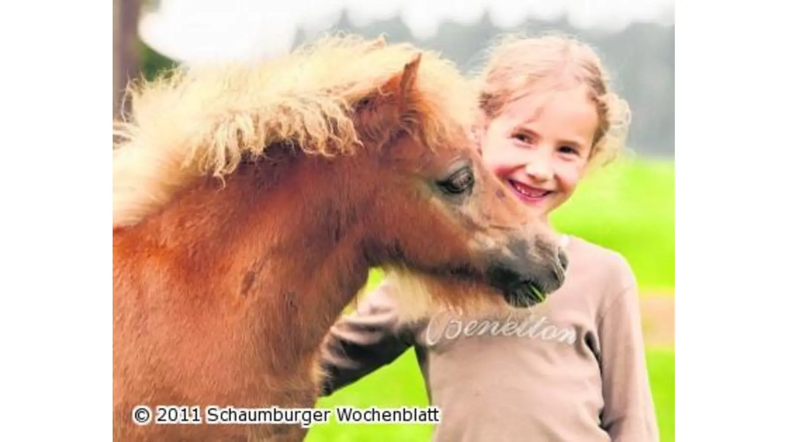 Ein Auflugstipp für die gesamte Familie (Foto: wtz)