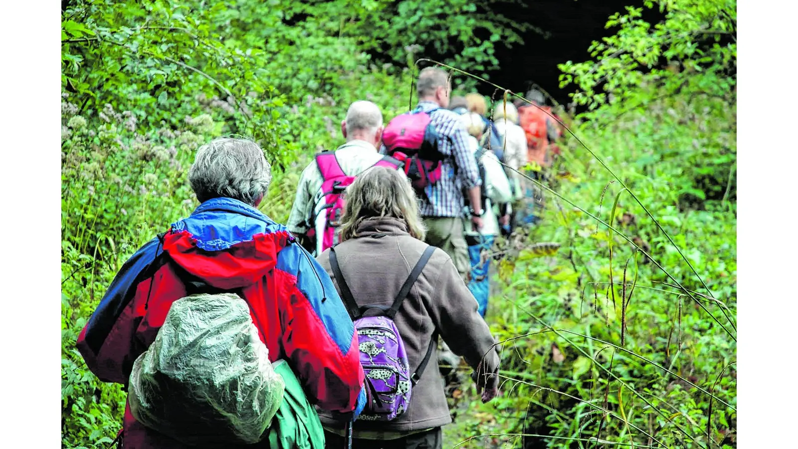 Pilgern im alten Bistum Minden (Foto: red)