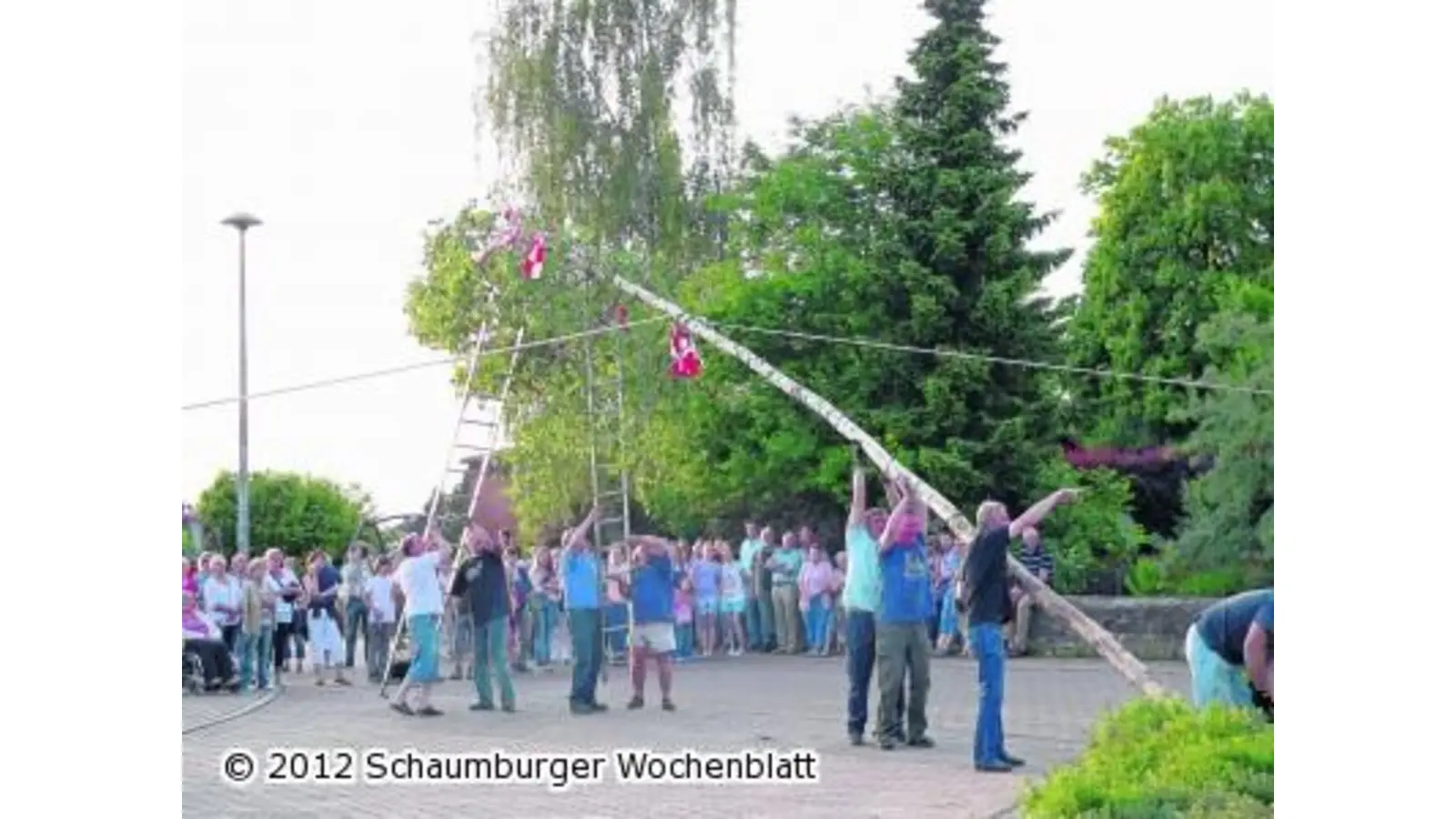 Eine Birke für die Ortsmitte (Foto: al)