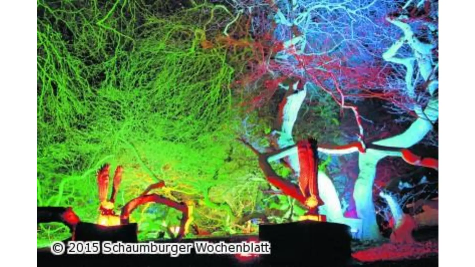 Entführt in eine märchenhafte Welt (Foto: jl)