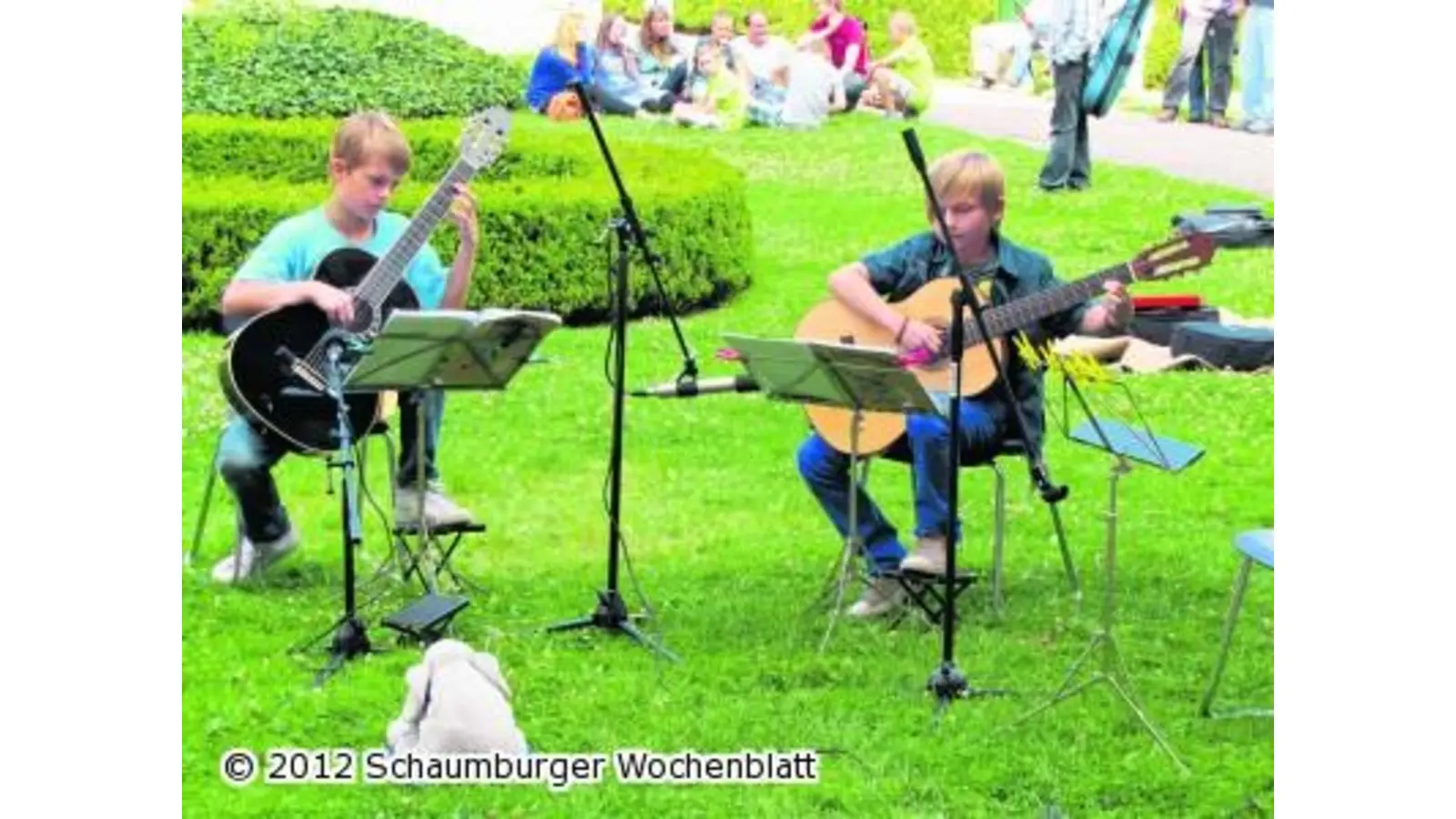 Freiluft-Festival am Schloss (Foto: red)