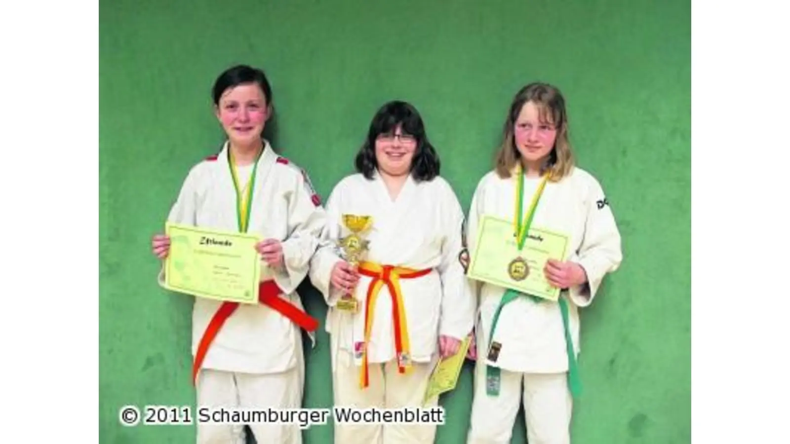 Drei Judosiege bei der Landesrangliste (Foto: mk)