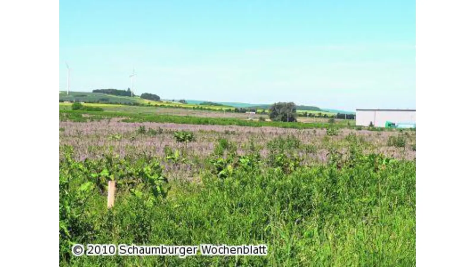 Die Edeka terminiert den Baustart in Lauenau nun für kommenden Herbst (Foto: al)