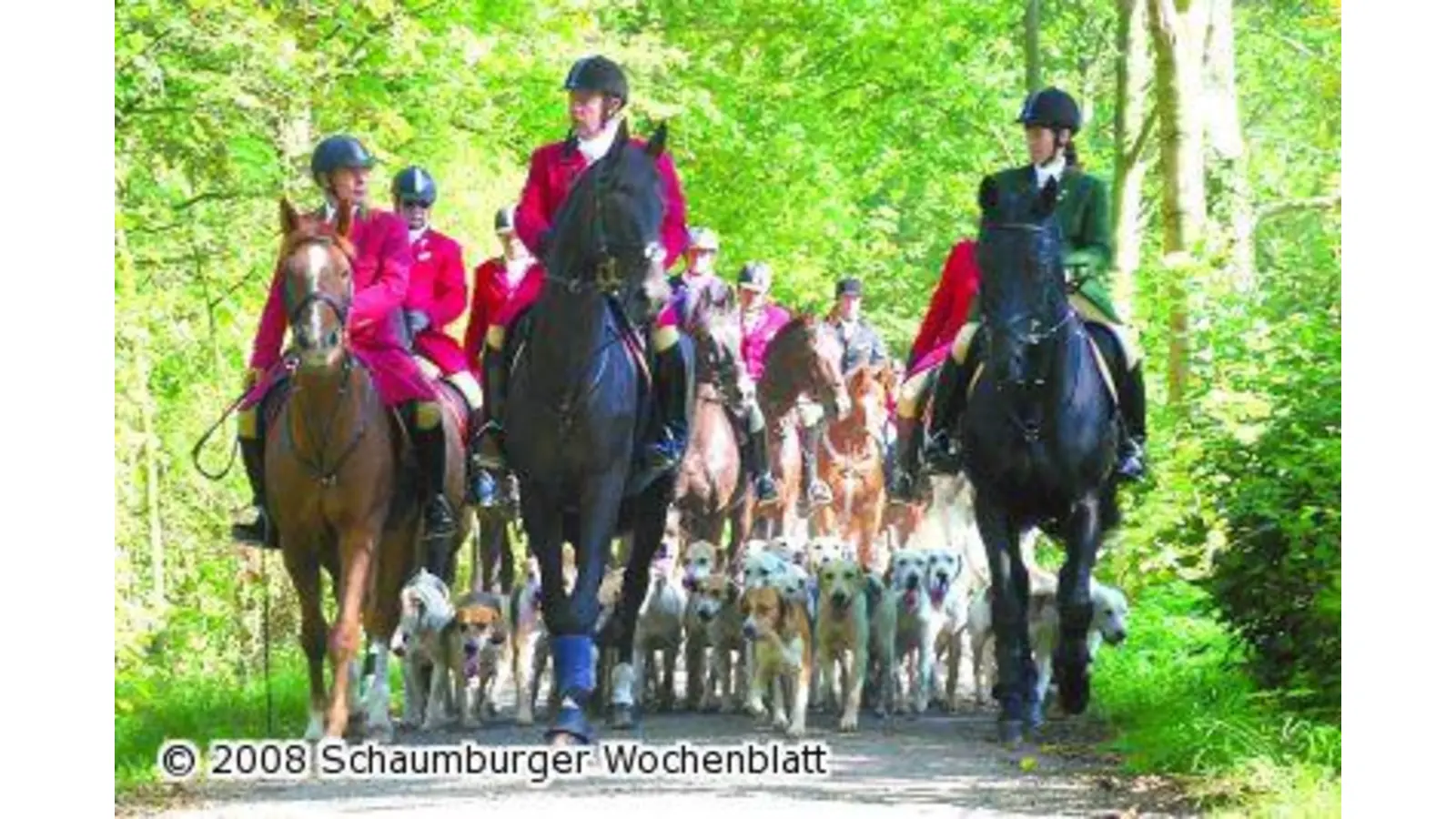 Großartige Beteiligung bei der Schleppjagd (Foto: hb)
