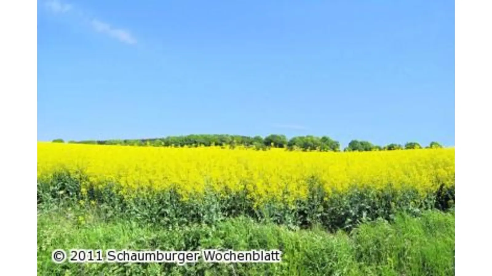 Lebensraum auf lange Sicht erhalten (Foto: wa)
