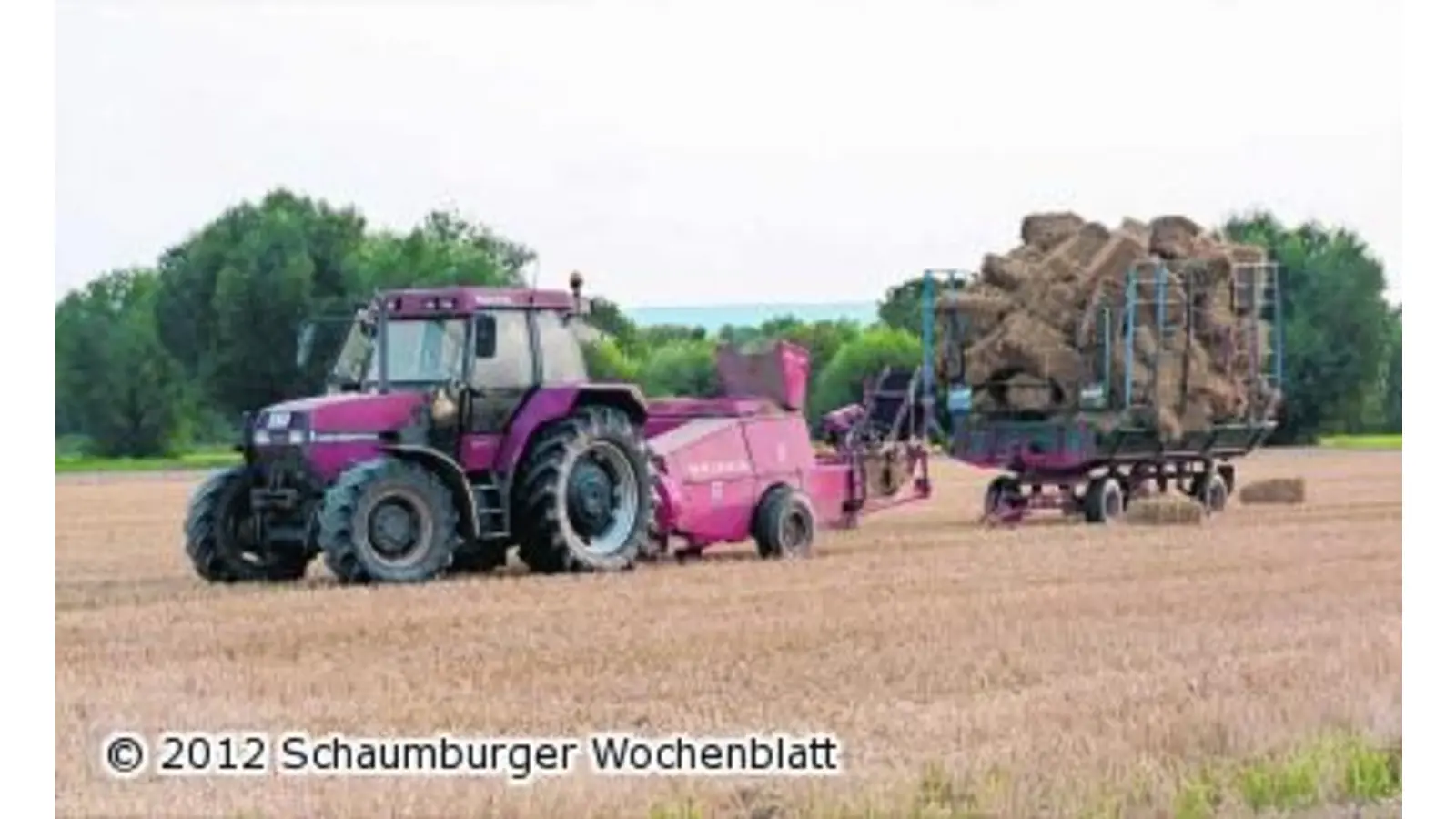 Geringere Erträge auf Spätfrost zurückzuführen (Foto: red)