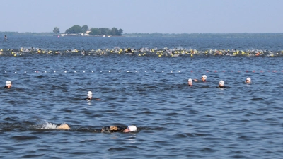 Es geht Richtung Wilhelmstein: Schwimmstrecke  (Foto: wb)