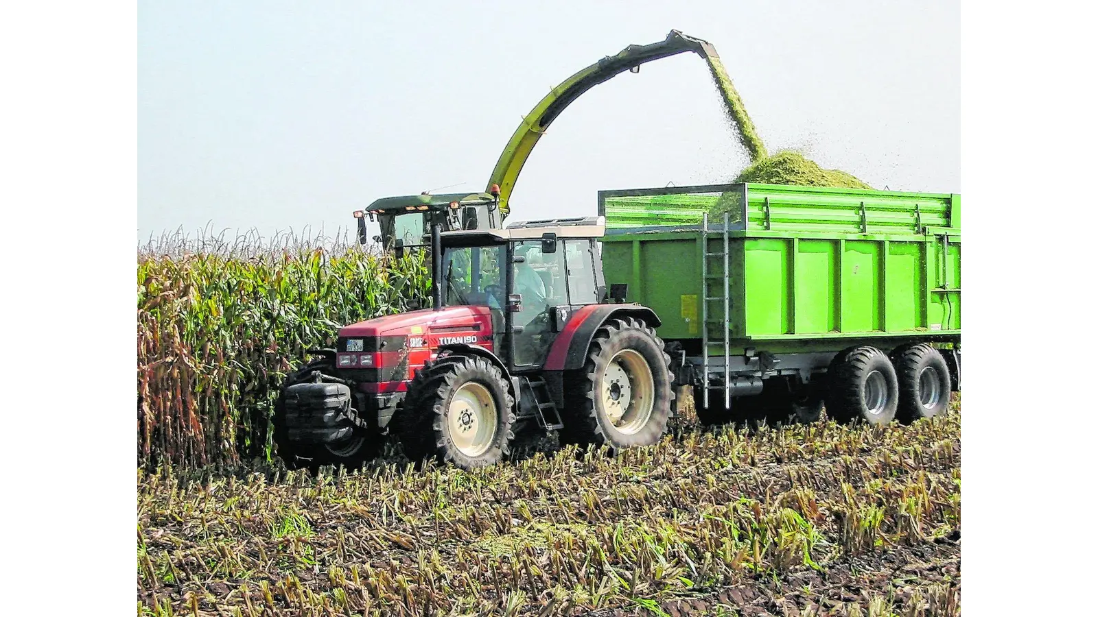 Über 25 Millionen Euro Dürrehilfe (Foto: mk)
