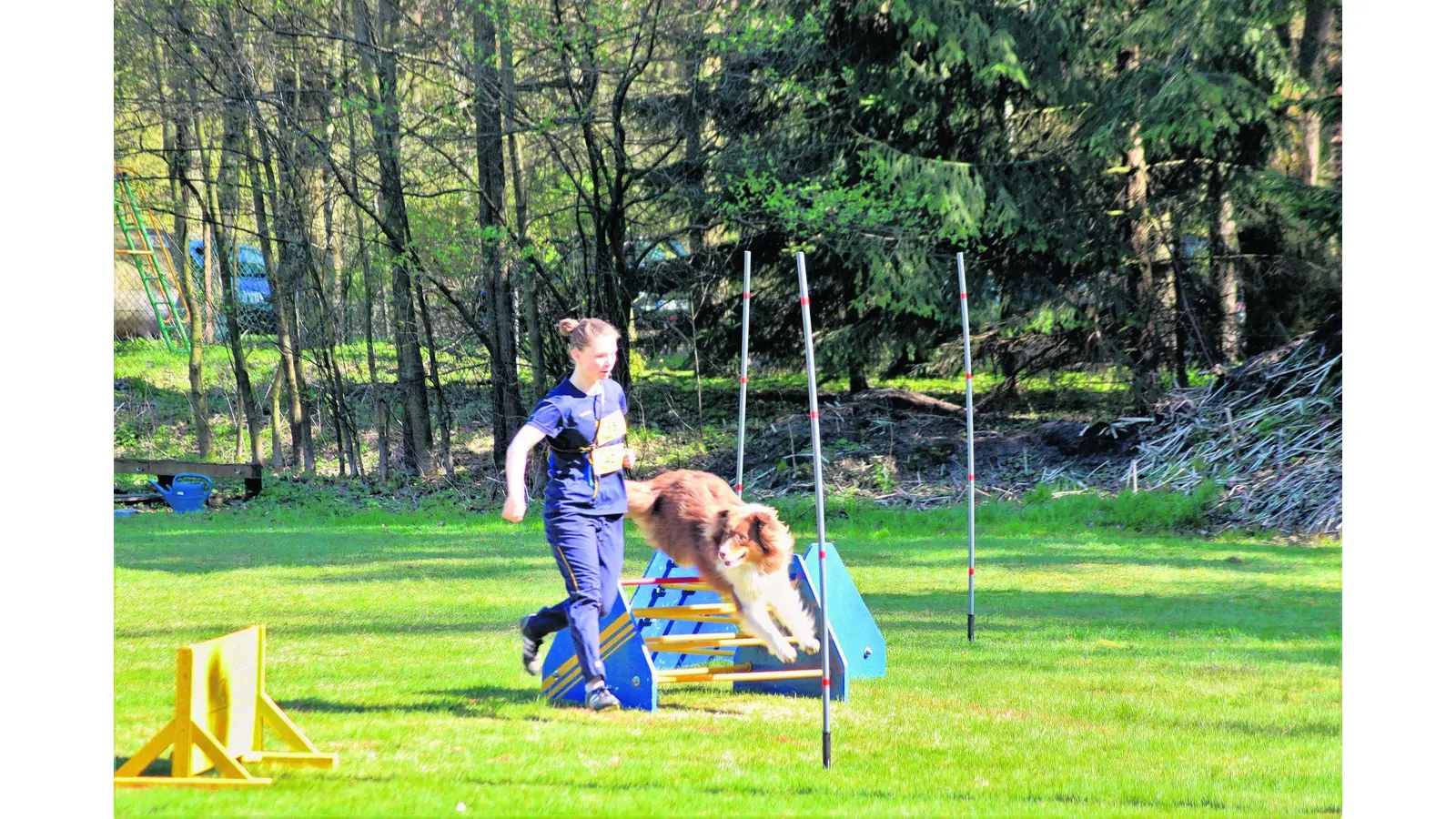 Laufspaß mit dem Hund (Foto: gr)