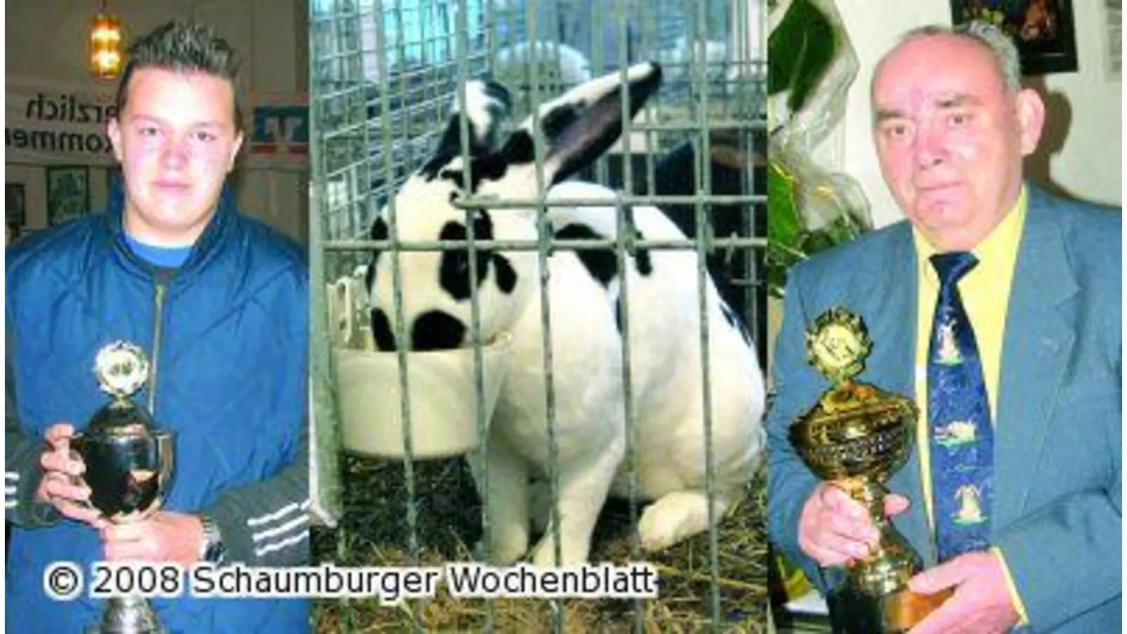 Jahresschau der Kaninchenzüchter (Foto: km)
